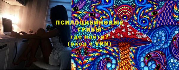 гашик Нефтегорск