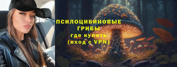 гашик Нефтегорск