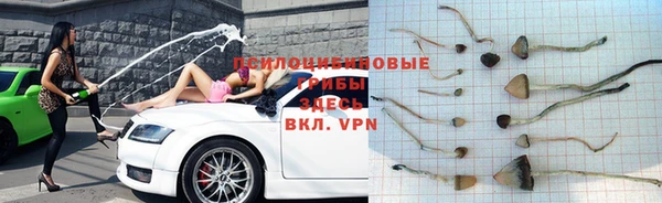 гашик Нефтегорск