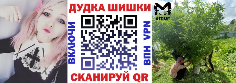 Бошки Шишки THC 21%  ссылка на мегу зеркало  Сычёвка 